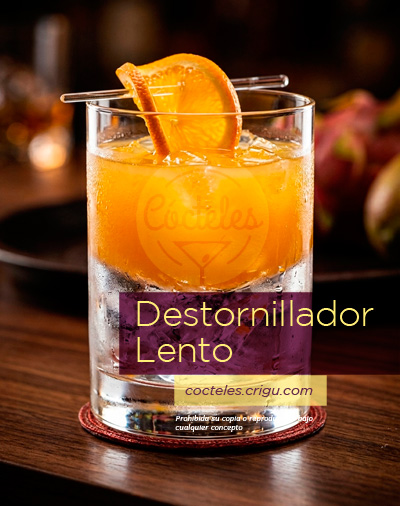 Cóctel destornillador lento en vaso con hielo y rodaja de naranja Cóctel destornillador lento en vaso con hielo y rodaja de naranja