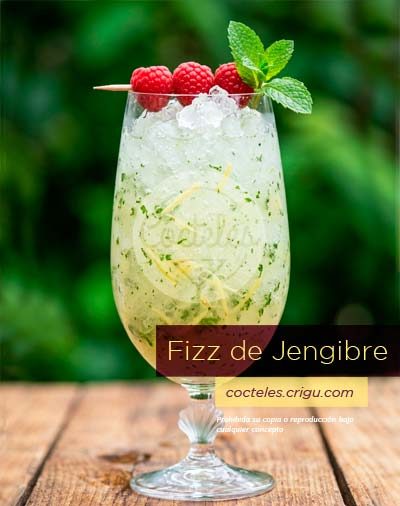 Copa con Fizz de Jengibre, un cóctel sin alcohol burbujeante decorado con tres frambuesas frescas en una brocheta y una ramita de menta verde sobre fondo difuminado.