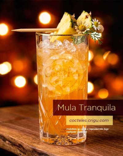 Vaso alto con el cóctel Mula Tranquila con hielo picado, decorado con rodajitas de ananá en brocheta sobre fondo con luces cálidas desenfocadas.